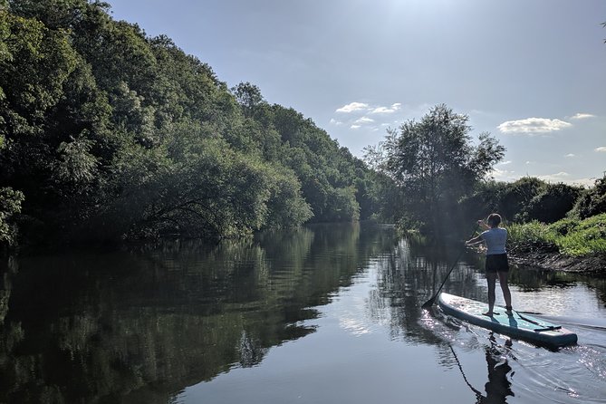1:1 Private Paddleboarding Tour For Beginners on The River Avon - The SUP safari element and quiet river views