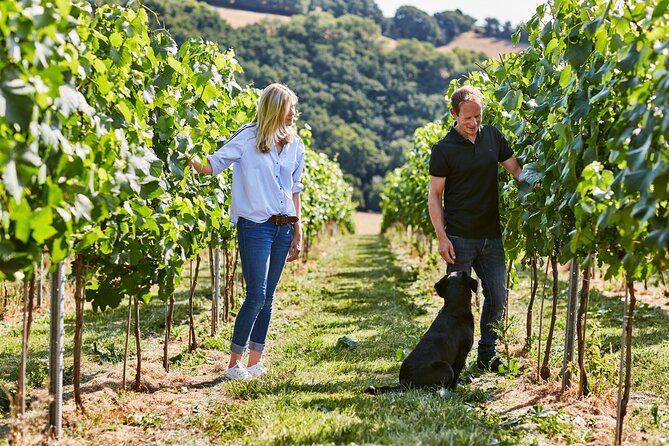 1.5-Hour Swanaford Vineyard Tour And Tasting Experience - Key points to know before you book