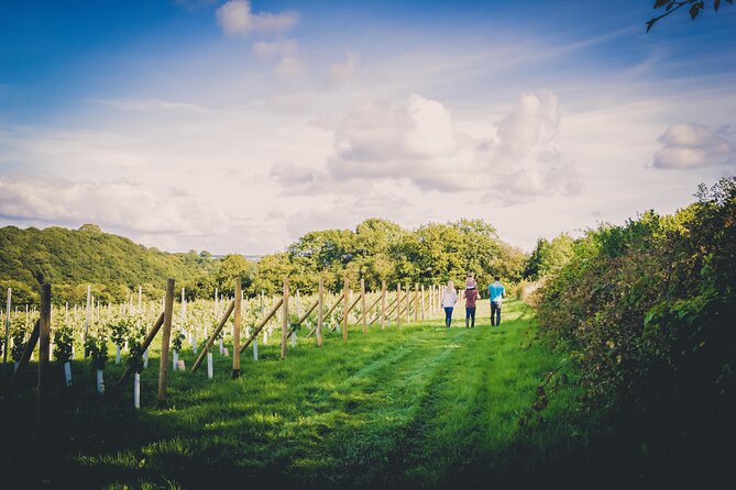 1.5-Hour Swanaford Vineyard Tour And Tasting Experience - Why this Dartmoor vineyard visit works so well