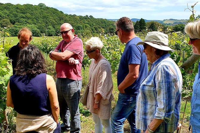 1.5-Hour Swanaford Vineyard Tour And Tasting Experience - Walking among 10,000 vines on the valley site