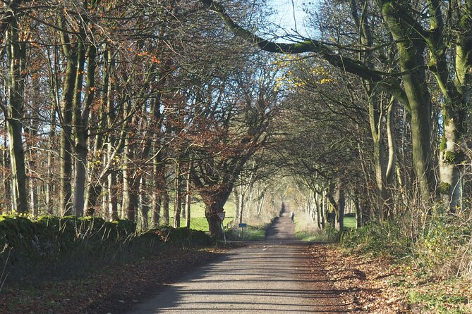 6hr Small Group Peak District eBike Tour - Cycling through Chatsworth’s grounds