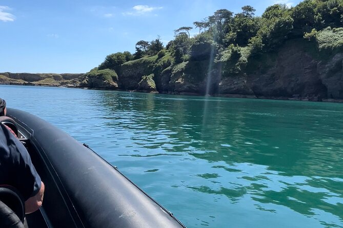 90 Minute Coastal Explorer in Torquay - Thatcher Rock, seabirds, and seals