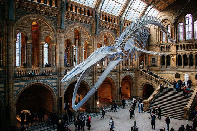 A Day at the Museum - Natural History Museum London - Key points to know before booking