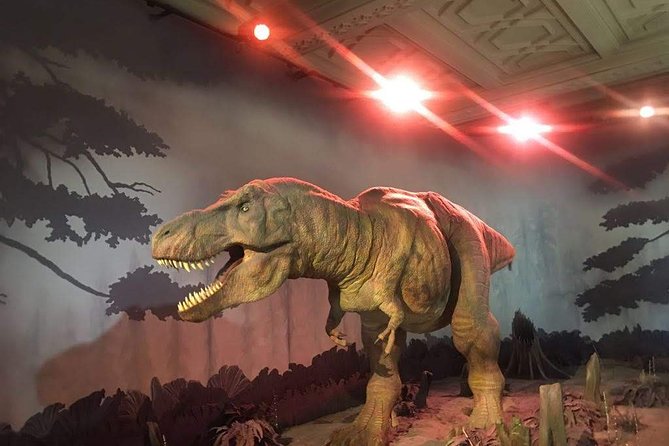 A Day at the Museum - Natural History Museum London - Accessibility and family comfort