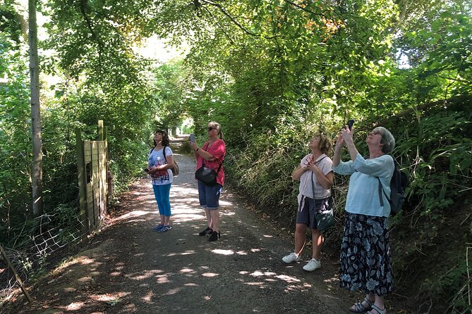 A Tour of Glastonbury, Guided by the Trees. - What the private format adds