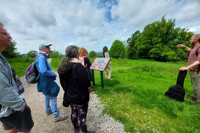 A Tour of Glastonbury, Guided by the Trees. - Who will enjoy this most
