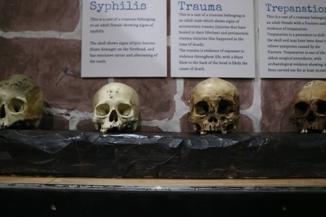 Admission Ticket to Sick To Death in Chester - A self-guided route through Chester’s Rows