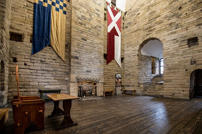 Annual Admission Newcastle Castle Ticket - Kings, prisoners, armies, and ordinary lives