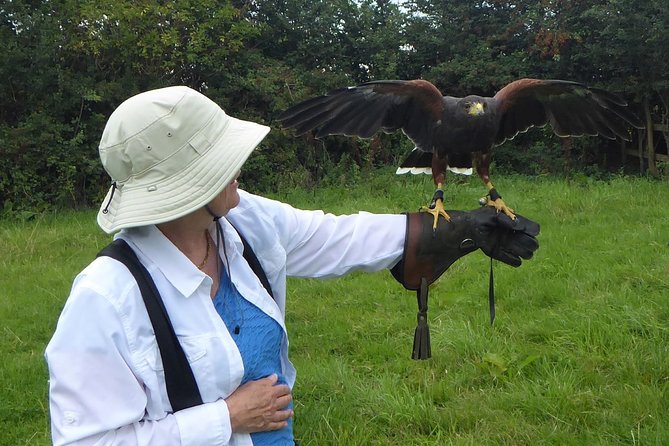 Bath City Tour & Fly a Hawk Experience - Day Tour from Bath - Bath’s center, explained by someone from the city