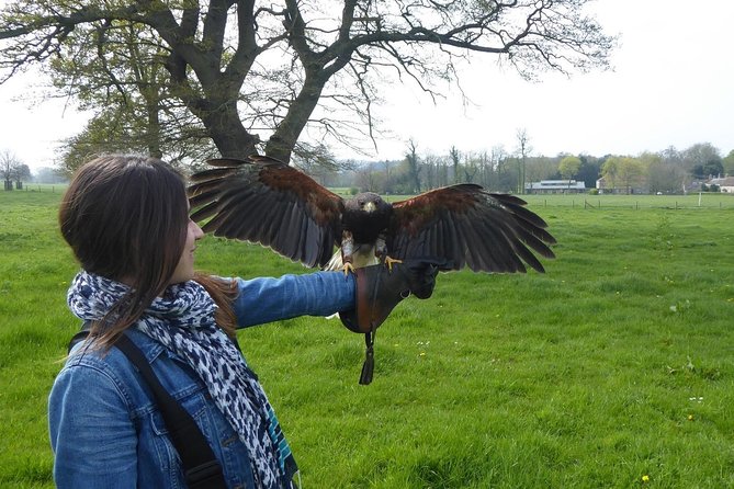 Bath City Tour & Fly a Hawk Experience - Day Tour from Bath - Lunch before the countryside transfer