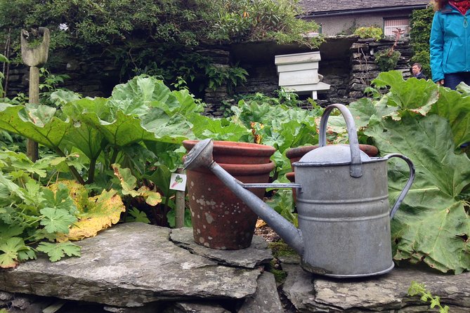 Beatrix Potter's Half Day Lake District Tour Including Lake Cruise - Is $120.62 good value?
