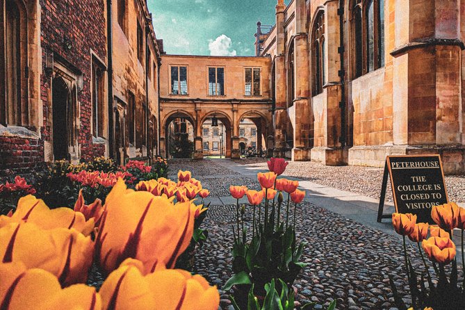 Cambridge's History & Secrets with Self-Guided Walking Tours - Seeing the colleges from The Backs
