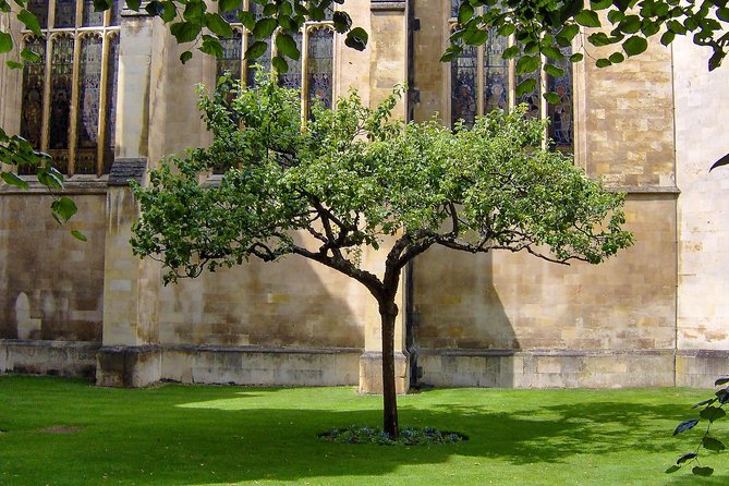Cambridge University Walking Tour - Christ’s, Emmanuel, and Sidney Sussex