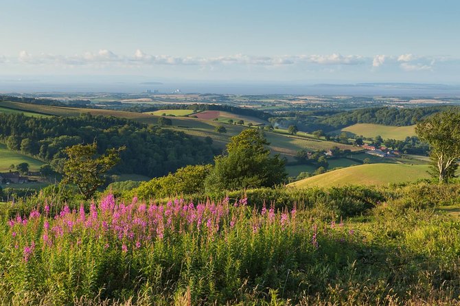 Canterbury & the White Cliffs of Dover Tour (Small-Group) - Transport, walking, and the pace of the schedule