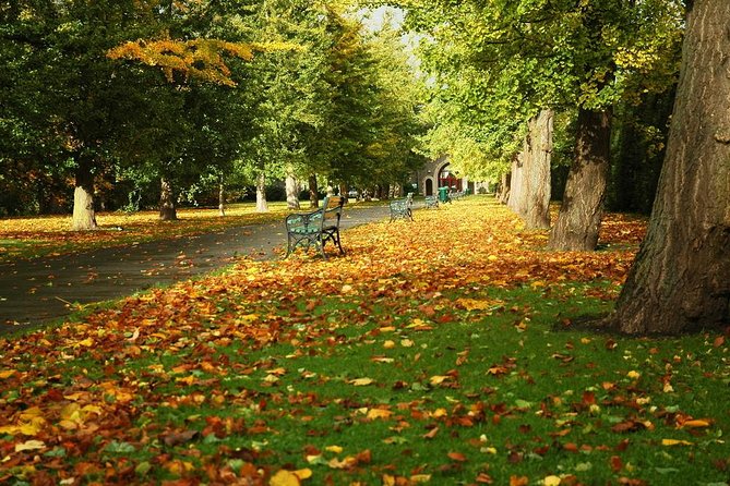 Cardiff Day Tour from London with Local Guide (Visit Wales) - The return to London