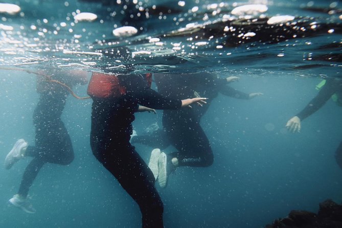 Coasteering - Five things to know before you book