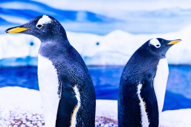 Combo Ticket: Madame Tussauds & SEA LIFE London Aquarium - Two famous London attractions in one afternoon