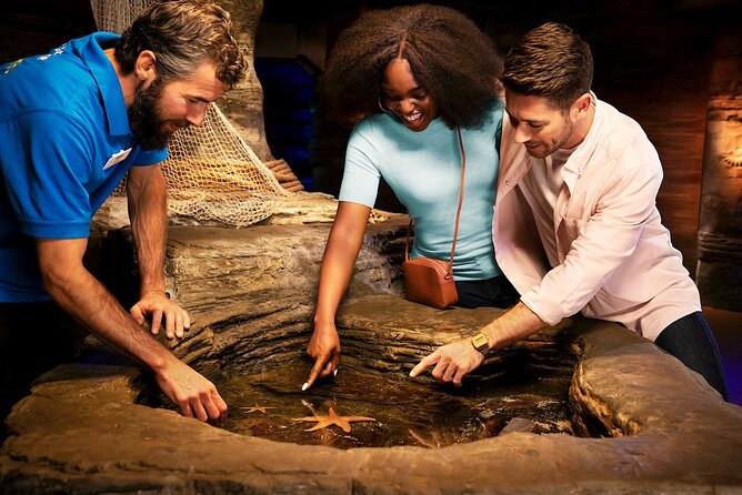 Combo Ticket: Madame Tussauds & SEA LIFE London Aquarium - Is $80.13 per person good value?