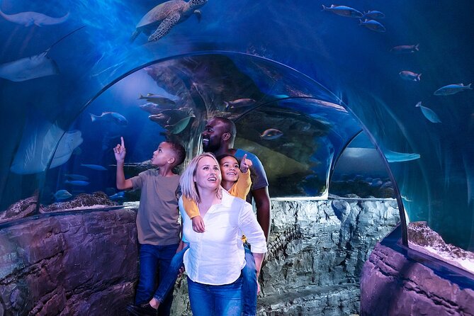 Combo Ticket: Madame Tussauds & SEA LIFE London Aquarium - Who will enjoy this combo most?
