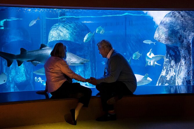 Combo Ticket: Madame Tussauds & SEA LIFE London Aquarium - SEA LIFE London Aquarium after the celebrity photos
