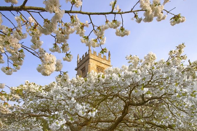 Cotswolds Small Group Tour from London - The guide can shape the whole day