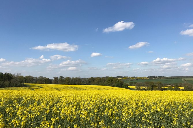 Cotswolds Villages Full-Day Small-Group Tour from Oxford - Burford brings a town-sized change of pace