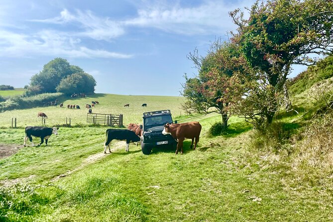 CRUISE SHIP SPECIAL- JEEP SAFARI - PRIVATE GUIDED TOUR (6 Hours) - A private safari from Portland Port