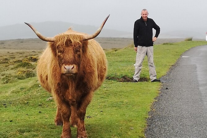 Dartmoor Tour - What Nigel adds to the day