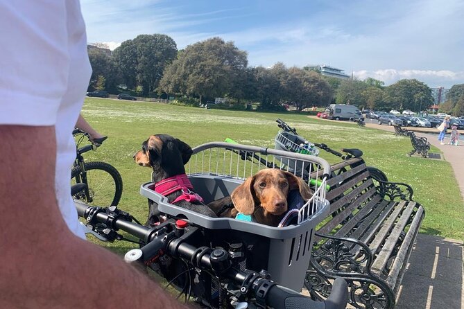 E-bike excursion exploring the Purbecks - Who will enjoy this ride most