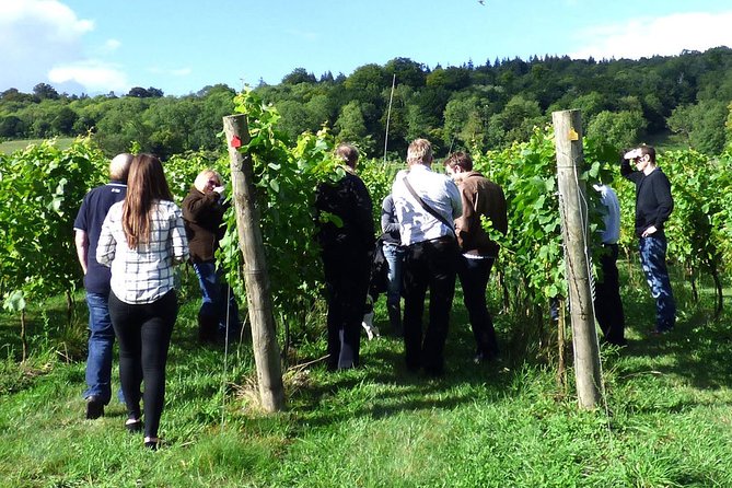 English Wine and Cheese Tour from London - Chapel Down and the story of English wine