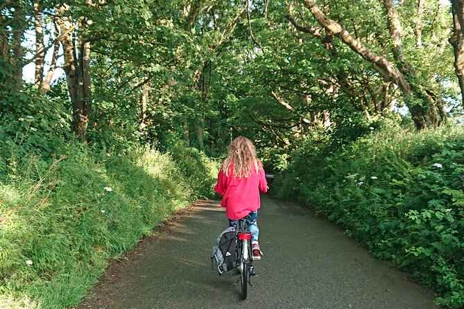 Explore North Cornwall on Electric Bikes - What the small group changes