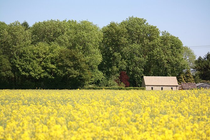 Explore the Cotswolds (Private Day Tour from London) - Chipping Norton and the old wool towns