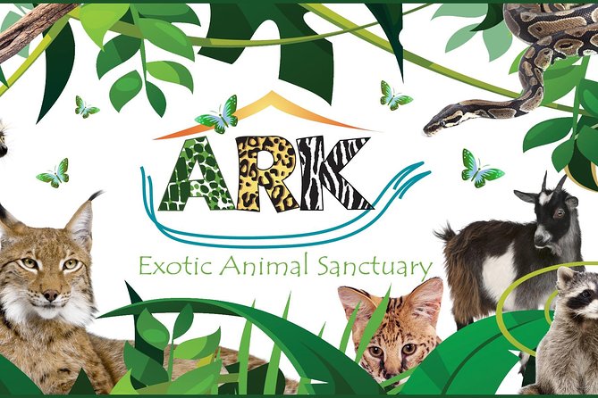 Fox Encounter for 2 people and park entry - What Happens During the 30-Minute Fox Session