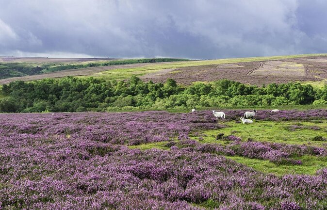 Full-Day Heartbeat Locations Tour from York - Key points at a glance