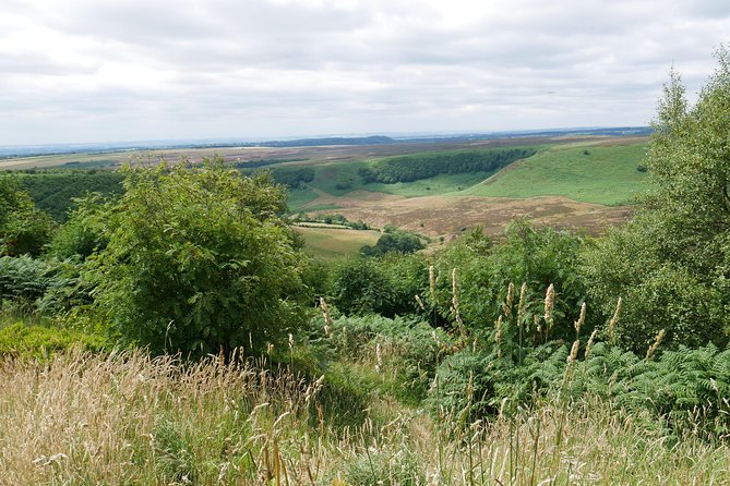 Full-Day Heartbeat Locations Tour from York - Is $82.58 a fair price?