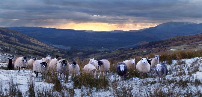 Full day Private tour of the Lake District - What this full-day Lake District route really offers