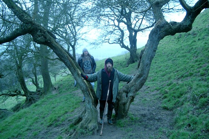 Full-Day Tour of Glastonbury - What the guides add to the day