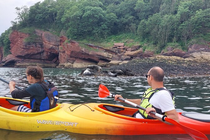 Guided Wildlife and Sea Cave Kayak Safari in English Riviera - A beach break with fossils and fire
