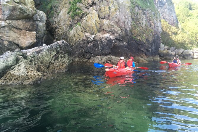 Guided Wildlife and Sea Cave Kayak Safari in English Riviera - What to bring for a comfortable morning