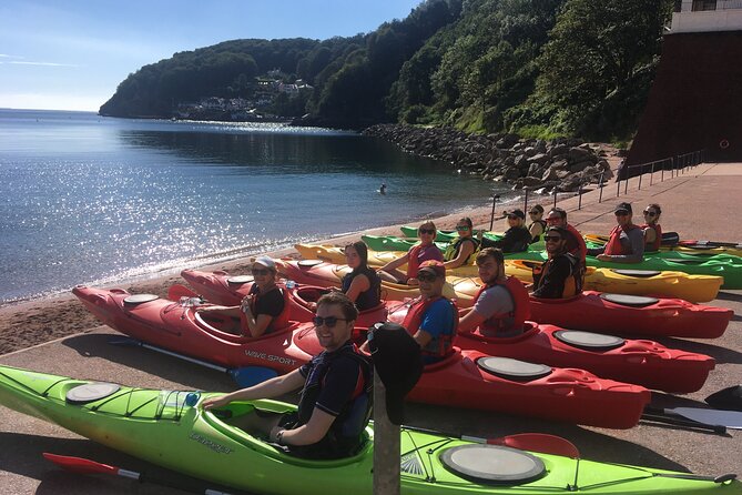 Guided Wildlife and Sea Cave Kayak Safari in English Riviera - Spotting seals and seabirds along South Devon