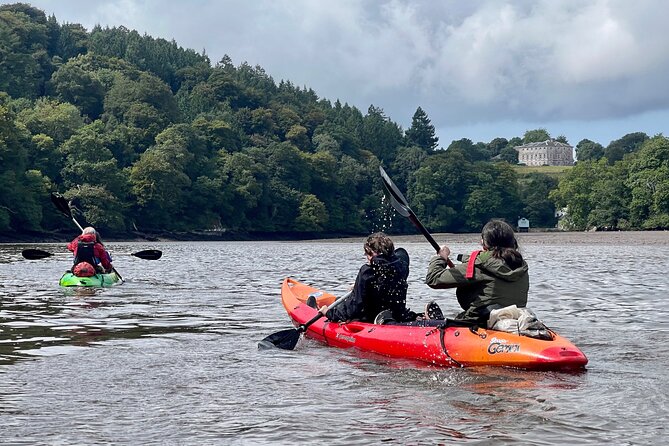 Half Day Guided Canoe Trip in Totnes - The return journey to Totnes