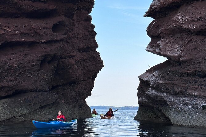 Half Day Sea kayak Guided Tour - What you get, and what you need to bring