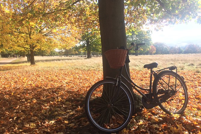 Hampton Court Palace Grounds Bike Tour - Seeing Hampton Court Palace without going inside