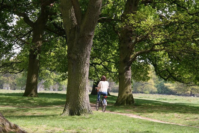 Hampton Court Palace Grounds Bike Tour - Vintage bicycles and rider comfort