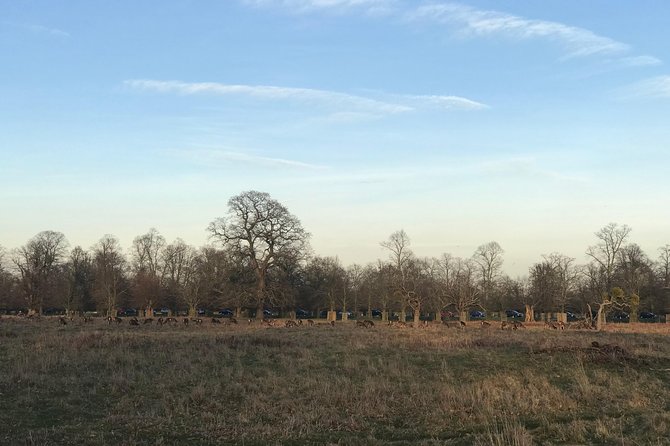 Hampton Court Palace Grounds Bike Tour - Starting near Hampton Court Way