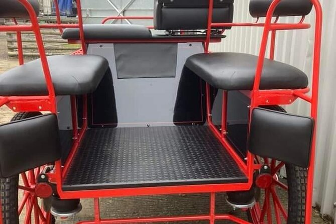 Horse drawn carriage ride york - Choosing between the open and enclosed carriage