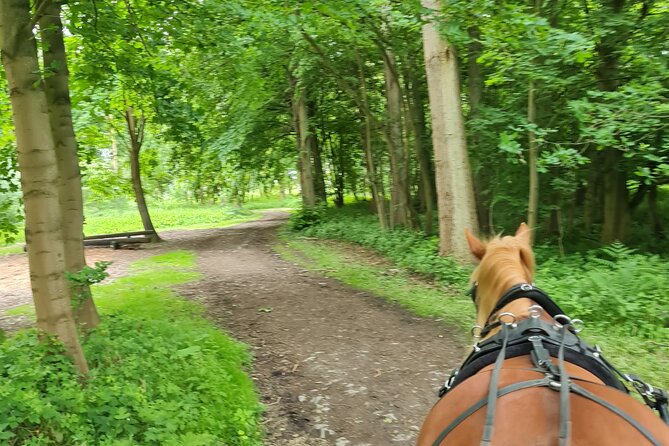 Horse drawn carriage ride york - What the $138.76 group price really buys