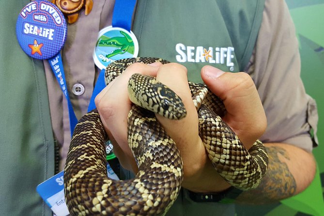 Hunstanton SEA LIFE Sanctuary General Admission Ticket - What your admission includes at Hunstanton