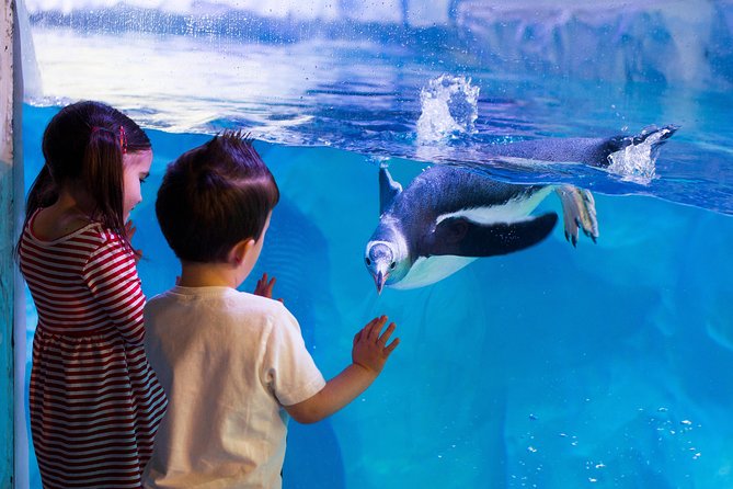 Hunstanton SEA LIFE Sanctuary General Admission Ticket - See tropical reef fish and rainforest reptiles