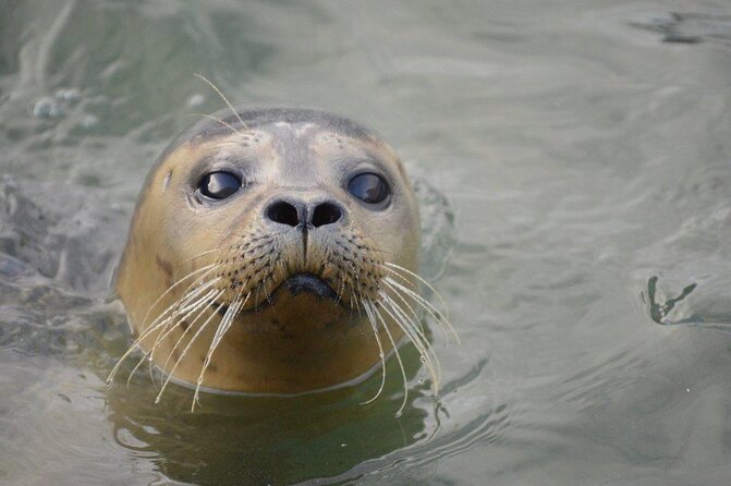 Hunstanton SEA LIFE Sanctuary General Admission Ticket - Start with the Rainforest Rangers